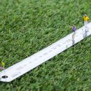 CM골프연습장 이미지