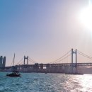 츄츄속눈썹