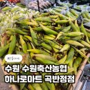 선호축산 | 수원축산농협 하나로마트 곡반정점 직접 다녀온 장보기 후기