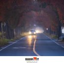 죽동마을 이미지