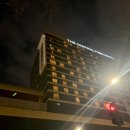 동반 | 송도 센트럴파크 호텔 애견동반 후기｜조식 포함 가족여행 내돈내산 총정리