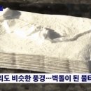 "퐁퐁에 담가 씻으면 됐지"…거무죽죽해진 '어묵 꼬치' 논쟁 이미지