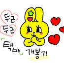 라라스킨 이미지