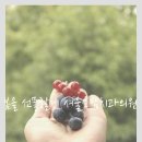 서울모담치과의원 이미지