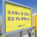 1004섬 박지도 민박 | 압해도 가룡항 도착하여 선도 수선화 보러(전남 신안군 지도읍 선도길 97-14, 지도읍 선도리 594-1)