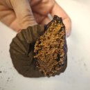 (주)이수 | 이수 입소문난 두쫀쿠 맛집 ‘탕페라주’ 내돈내산 후기