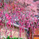 백양사 주차장 화장실 이미지