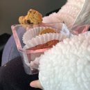 대전성모어린이집 이미지