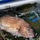 송도수산 이미지