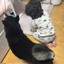 제노PC방 | 2월일상 - 설날 / 발렌타인데이 / 남자친구 생일 / 음식사진만 있음 주의