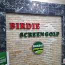 버디스크린골프 이미지