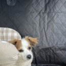 매리휴게소 이미지