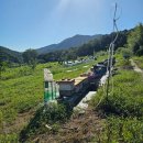 벽진농장 이미지