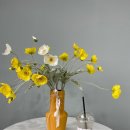 더블유카워시 향남읍 이미지