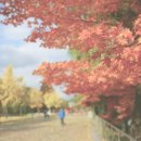 젤리핑크 이미지