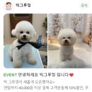 빅 그루밍 이미지