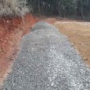 금송목장 이미지