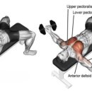 머슬메카 이미지