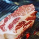 고기를품다 이미지