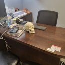 그리다성형외과의원 이미지