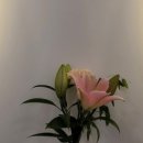 정아헤어샵 이미지