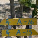 양양 고인돌 오토캠핑장 이미지