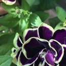 만용농장 이미지