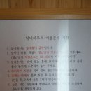제주 팀버하우스 네이버블로그