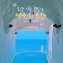 제주 인 포항 이미지