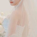 스튜디오고호