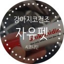 미르동물약품 | 강아지코건조 증상이 있다면 자유펫 시코니딘으로 완화