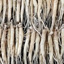 금산인삼전문점 이미지