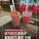 청솔농장 | [의정부 카페] 추천, 딸기농장과 AI로봇마사지까지 즐길 수 있는 스마트팜 카페 방문 후기