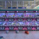 뽑기팡 | 수원 인계동 인형뽑기 성지! 캐치팡 인계점 솔직 체험후기