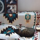 라이펙스 이미지