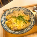오오키니 | 부산 중앙역 점심 맛집 “오오키니” ft. 일본 덮밥 1등 집!