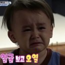 홍이삼이네 | 240519 [뮤지컬 일 테노레] 총 막공까지 후기 / 블루스퀘어 신한카드홀 2층 5열, 6열 후기 / 안녕이라고...