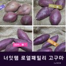 너잇템 이미지