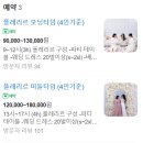 플레리르 이미지