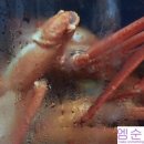 원영수산