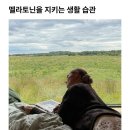 노화극복 키워드 멜라토닌의 효능 이미지