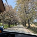 한림안성CC 네이버블로그