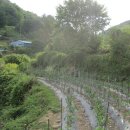 설천면055 이미지