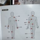 주식회사 아렉스 | [리얼후기]근육통에 좋은 파스 동전 파스 손쉽게 붙이는 파스 “신통방통 패치”