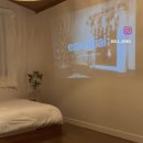 글라라 민박 | 제주 서쪽 애월 애견동반 숙소 독채 역대급 좋았던 글라애월 펜션 2박 후기