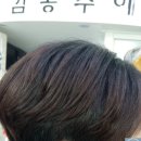 김공주헤어 - 화성시 | 김공주헤어