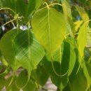 길상유통 이미지