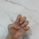드벨뷰티범어