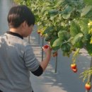 가술농장 이미지