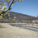 서동생활공원 이미지